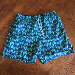 Tom & Teddy Swim Trunks